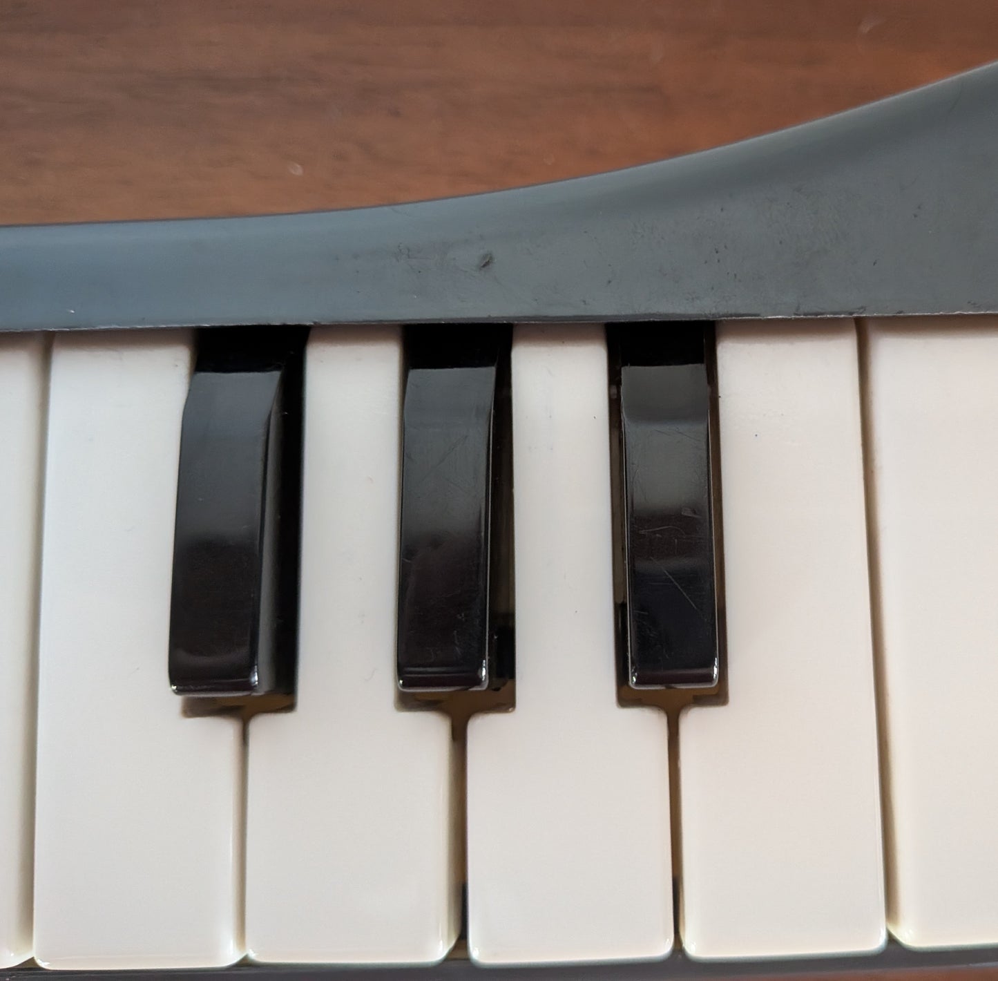 Vintage 1950s - 60s working Hohner Melodica Piano 26 Mouth Organ with Case & 2 Mouthpieces