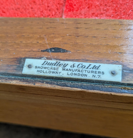 1920s 30s Vintage Art Deco Oak Glazed Haberdashery Shop Display Counter Cabinet