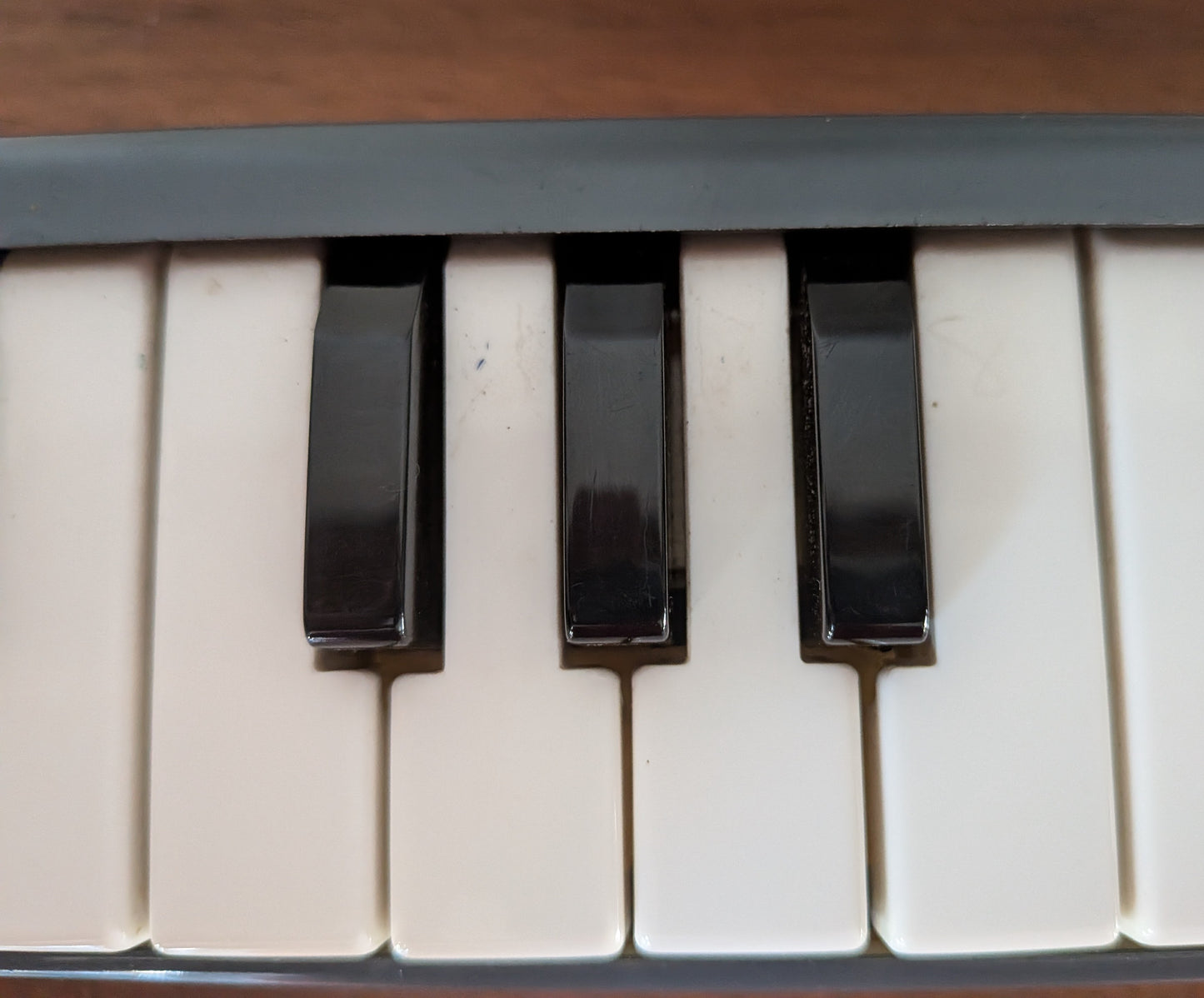 Vintage 1950s - 60s working Hohner Melodica Piano 26 Mouth Organ with Case & 2 Mouthpieces